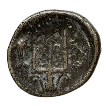 coin rev
