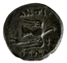 coin rev
