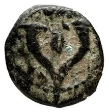 coin rev