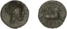 coin rev