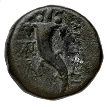 coin rev