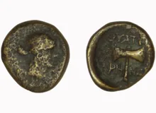 coin rev