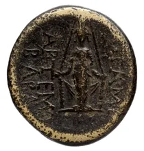 coin rev