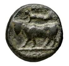 coin rev