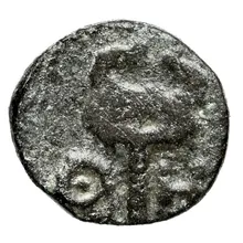 coin rev
