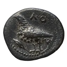 coin obv
