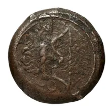 coin rev