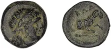 coin obv