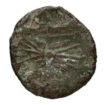 coin rev