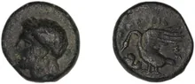 coin rev