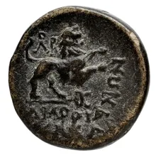 coin rev