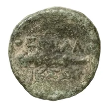 coin rev