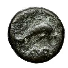 coin obv