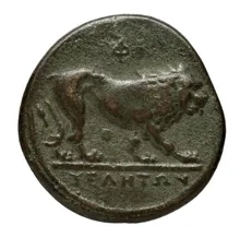 coin rev