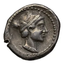 coin obv