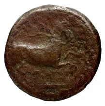 coin rev