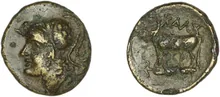 coin rev