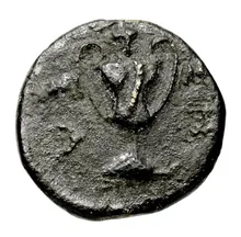 coin rev