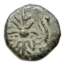 coin rev