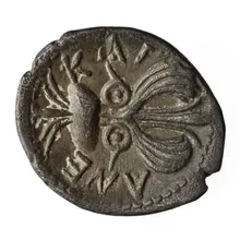 coin rev