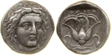 coin rev