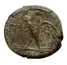 coin rev