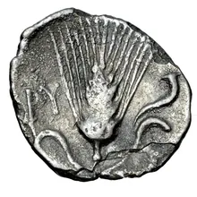 coin rev