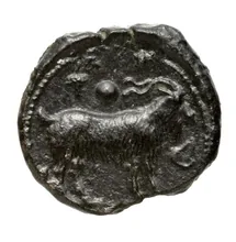 coin rev
