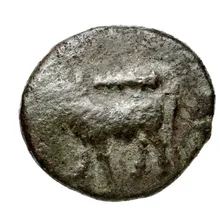 coin obv