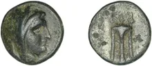 coin rev