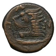 coin rev