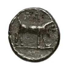 coin rev