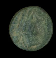 coin rev