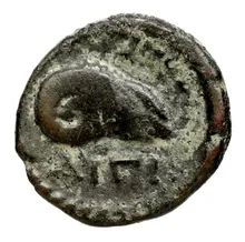 coin rev