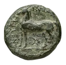coin rev