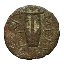 coin rev