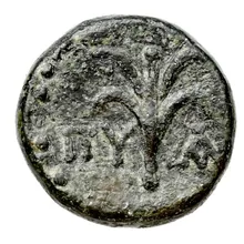 coin rev