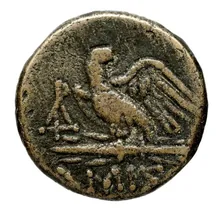 coin rev