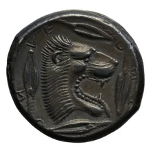 coin rev