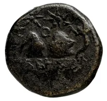 coin rev