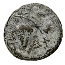 coin rev