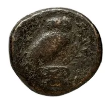coin rev