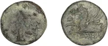 coin rev