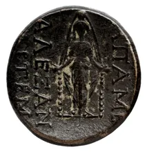coin rev