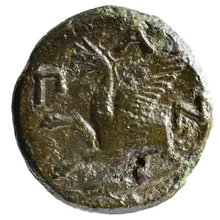 coin rev