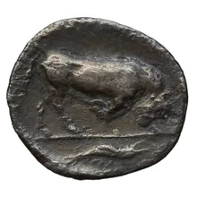 coin rev