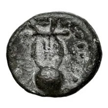 coin rev