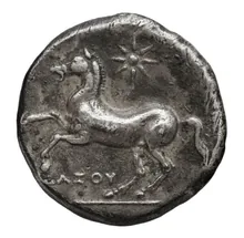 coin rev