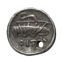 coin rev