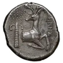 coin rev